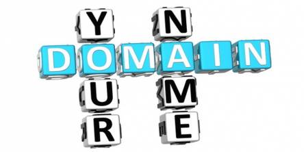 Domain Renew Service